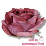 Róża główka F-362