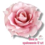 Róża Sonia główka F-360