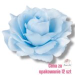 Róża Sonia główka F-359