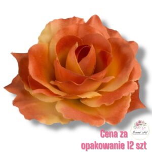 Róża Sonia główka F-357