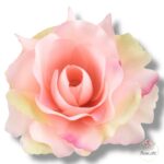 Róża Sonia główka F-355