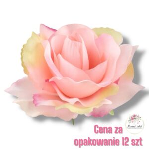 Róża Sonia główka F-356