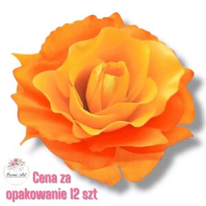 Róża Sonia główka F-355