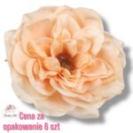 Peonia główka F-354