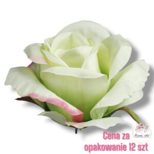 Róża główka F-348