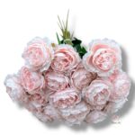 Goździk satynowy Cream F-387