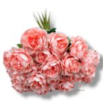 Goździk satynowy Cream F-387