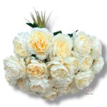 Goździk satynowy Cream F-387