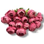 Goździk satynowy Cream F-387