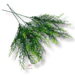 Goździk satynowy Cream F-387