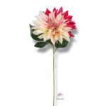 Goździk satynowy Cream F-387