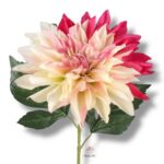 Dalia Cream/Mauve F-382