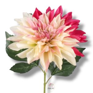 Dalia Cream/Mauve F-382