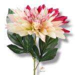 Goździk satynowy Cream F-387