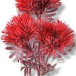 Goździk satynowy Cream F-387