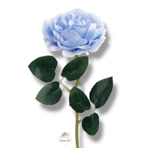 Róża peoniowa Blue F-379