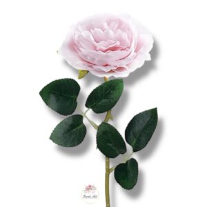 Róża peoniowa Lt.Pink F-378