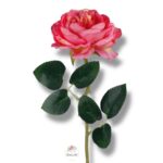 Róża peoniowa Mauve F-377