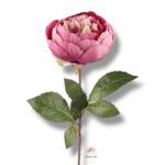 Peonia Autumn Mauve F-373