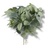 Goździk satynowy Cream F-387