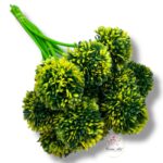 Goździk satynowy Cream F-387