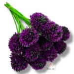 Goździk satynowy Cream F-387