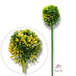 Kwiat cebuli Green/Yellow F-365