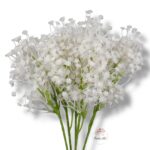 Goździk satynowy Cream F-387