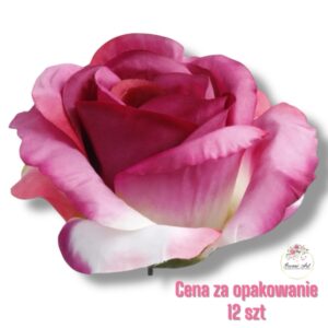 Róża Purple/Cream F-384