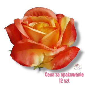 Róża Coral/Yellow F-383