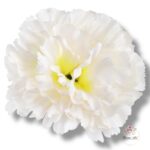 Goździk satynowy Cream F-387