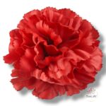 Goździk satynowy Cream F-387