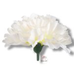 Goździk satynowy Cream F-387