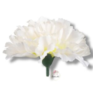 Goździk satynowy Cream F-387