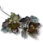 Kwiat pianka F-402/A