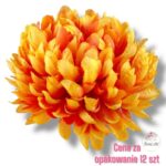 Chryzantema główka F-135