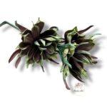 Kwiat pianka F-415/B