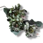 Kwiat pianka F-414/B