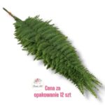 Liść paproć F-418