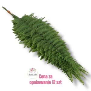 Liść paproć F-418