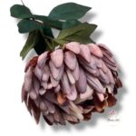 Chryzantema mini F-448