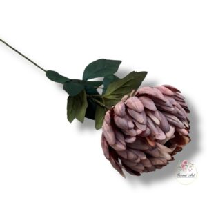 Chryzantema Ananas F-434