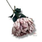 Chryzantema mini F-448