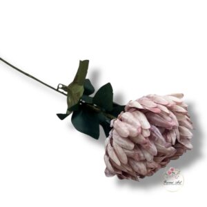 Chryzantema Ananas F-433