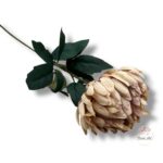 Chryzantema Ananas F-431