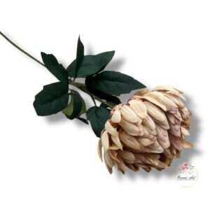 Chryzantema Ananas F-431