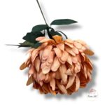 Chryzantema mini F-448