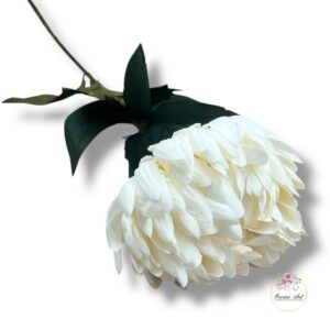 Chryzantema Ananas F-429