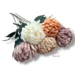 Chryzantema mini F-448