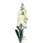 Chryzantema mini F-448